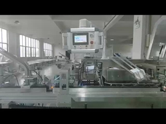 WZTS-130 machine de mise en carton de sachets avec alimentateur de sachets