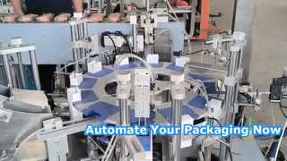 Full-auto vertical loading cartoning machine